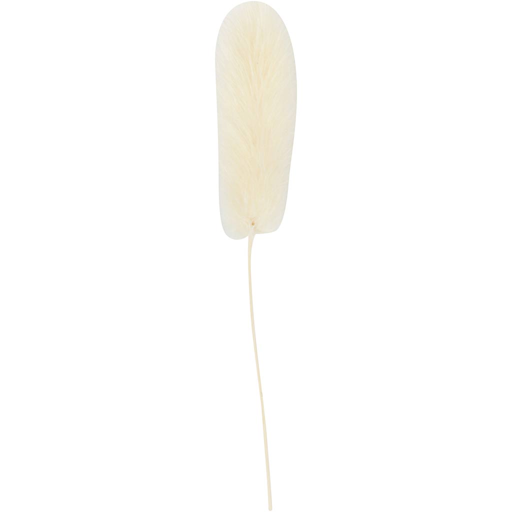 Hazenstaart gras, L: 3-7 cm, 6 stuk/ 1 doos [HOB-50203]
