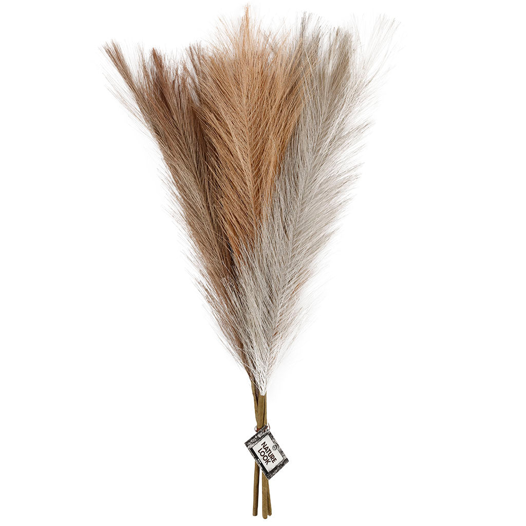 Pampasgras, L: 50 cm, licht beige, lichtbruin, lichtgrijs, 3 stuk/ 1 bol [HOB-50205]