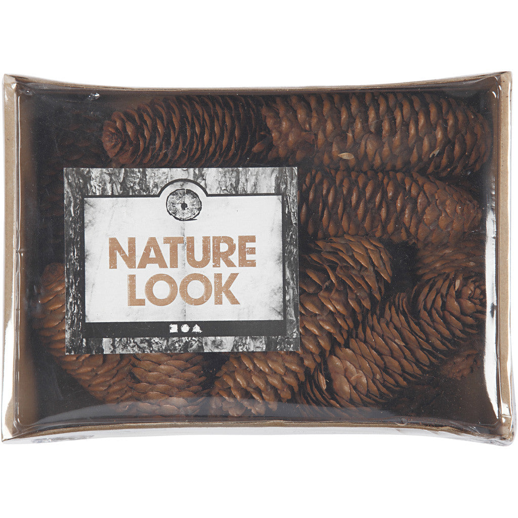 Kegel denneappels, d 40 mm, ca. 14 stuk, 300 gr/ 1 doos [HOB-50236]