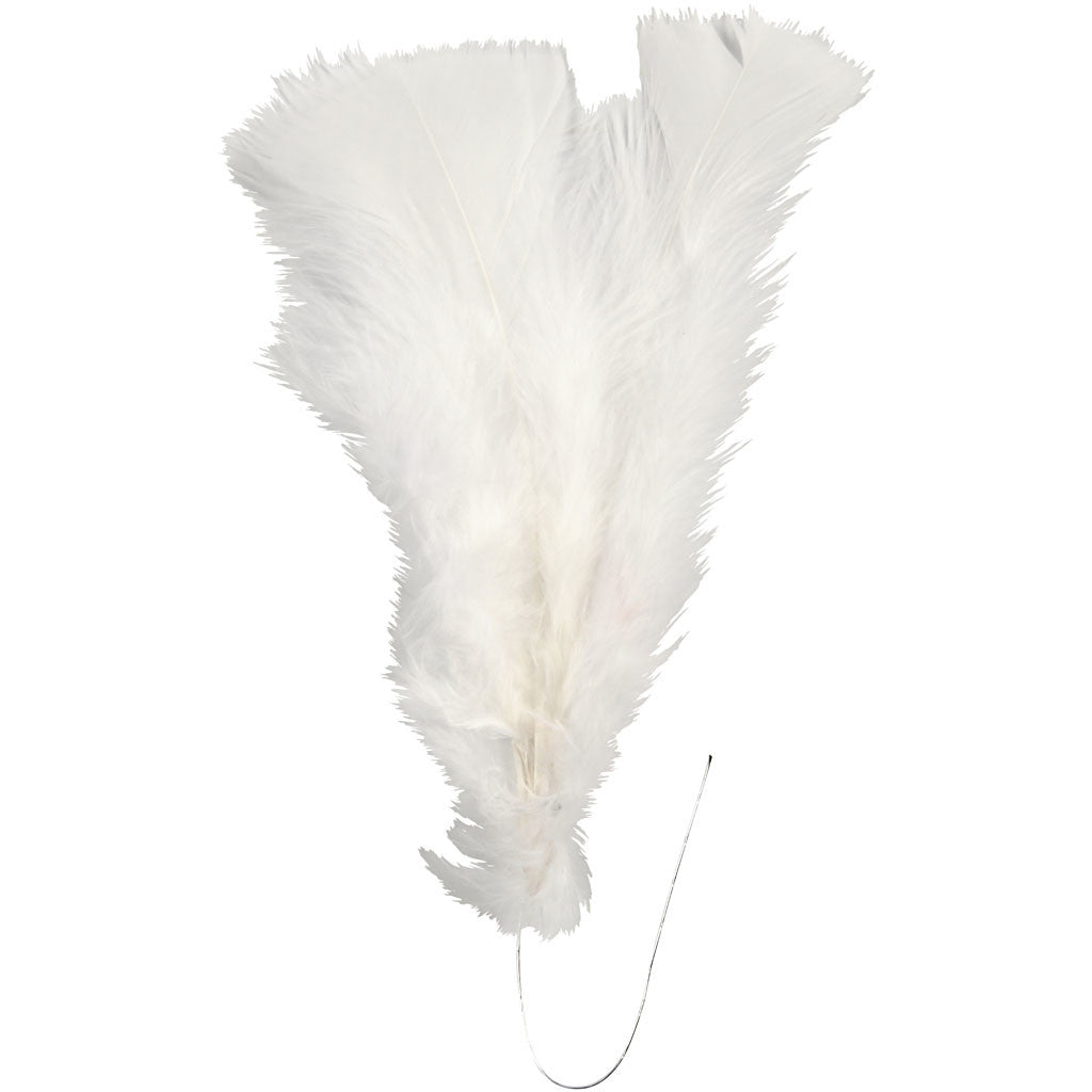 Veren, L: 11-17 cm, wit, 18 bol/ 1 doos [HOB-51847]