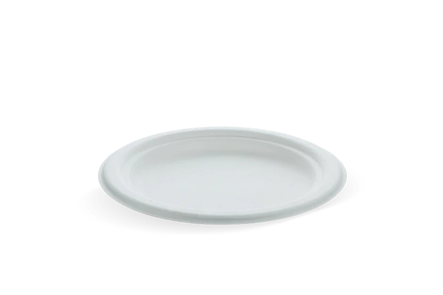 Bord suikerriet Ø17.5cm (1.000 stuks) [TK-9988102]