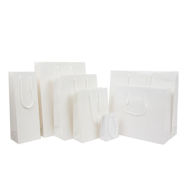 Papieren Draagtassen Wit Glanzend 31+10x40 cm (100 stuks) [FP-DPK016]