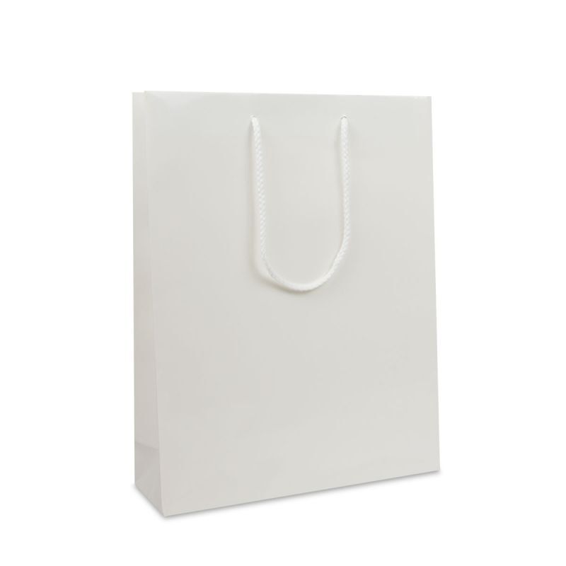 Papieren Draagtassen Wit Glanzend 31+10x40 cm (100 stuks) [FP-DPK016]