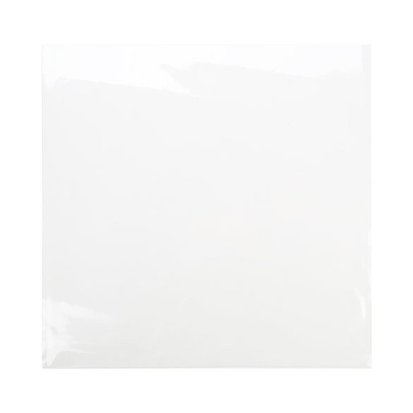 Plastic Zakken 31,6x31,1cm Transparant (100 stuks) [B12X12NF]