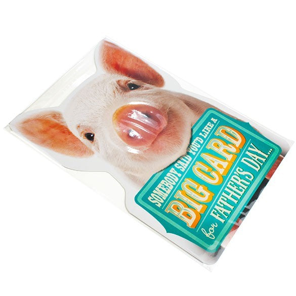 Plastic Zakken 34,1x48,9cm Transparant en Hersluitbaar (100 stuks) [B1319]