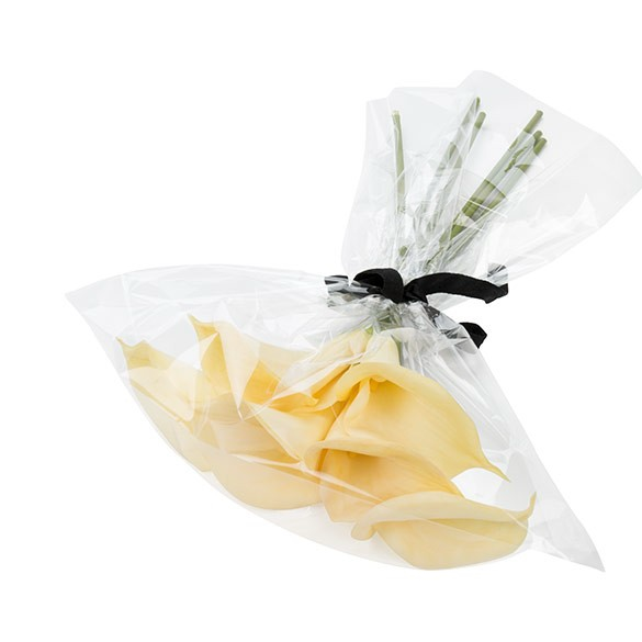 Plastic Zakken 51,9x62cm Transparant (100 stuks) [B20NF]