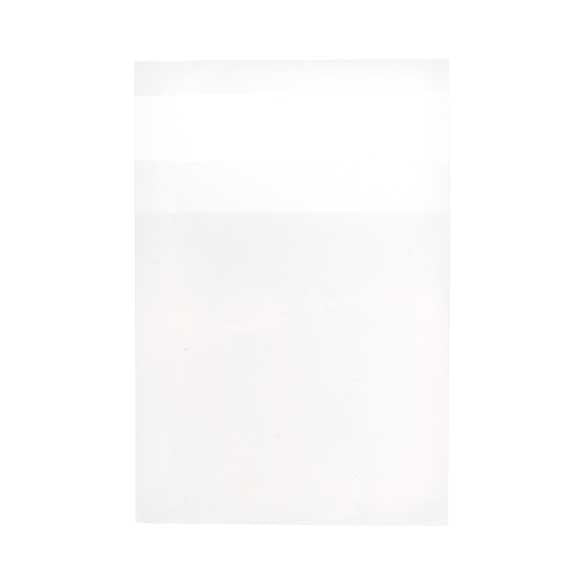 Plastic Zakken 6,5x6,5cm Transparant en Hersluitbaar (100 stuks) [B2X2]