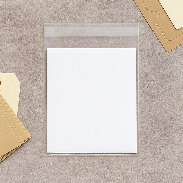 Plastic Zakken 9,2x14,6cm Transparant en Hersluitbaar (100 stuks) [B35M]