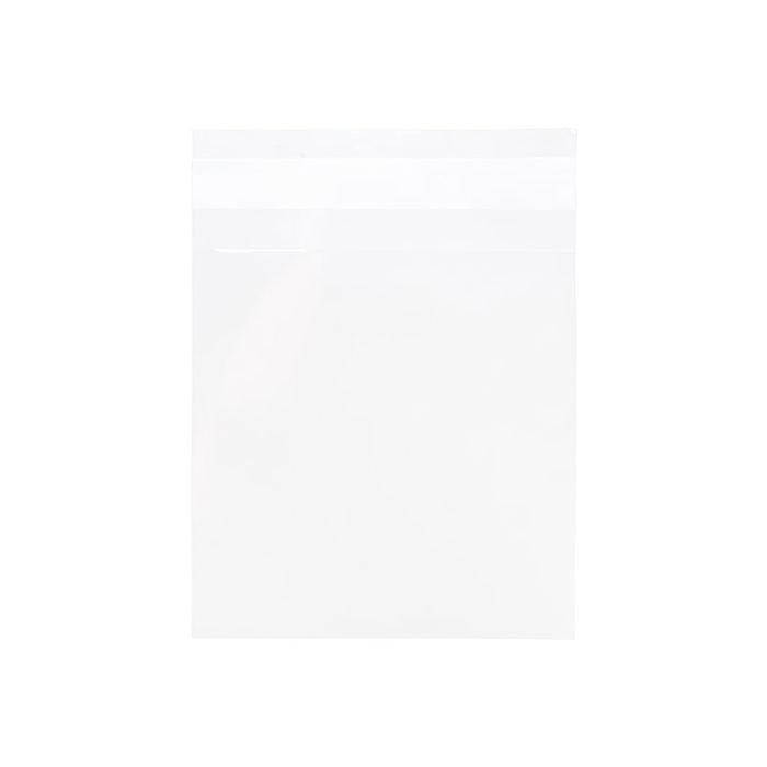 Plastic Zakken 11,9x11,7cm Transparant en Hersluitbaar (100 stuks) [B44M]