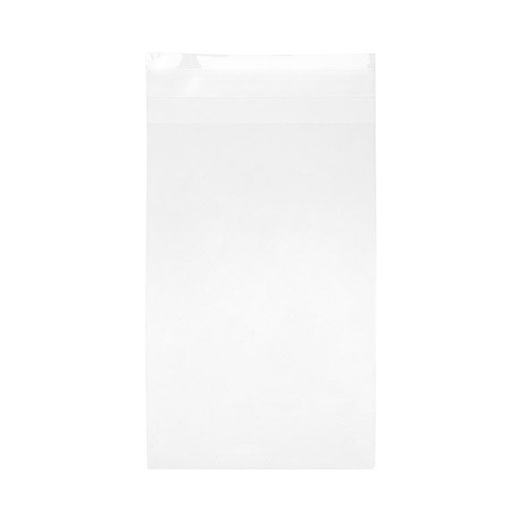 Plastic Zakken 11x17cm Transparant en Hersluitbaar (100 stuks) [B46T]