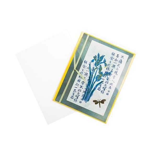 Plastic Zakken 11x14,5cm Transparant (100 stuks) [B4B5NF]