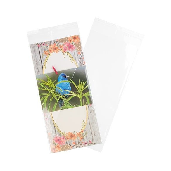 Plastic Zakken 14,5x30,6cm Transparant en Hersluitbaar (100 stuks) [B512]