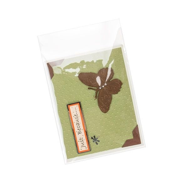 Plastic Zakken 11,5x14,5cm Transparant en Hersluitbaar (100 stuks) [B54PC]