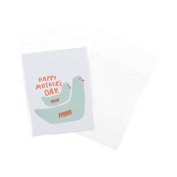 Plastic Zakken 11,4x14,1cm Transparant en Hersluitbaar (100 stuks) [B54S]