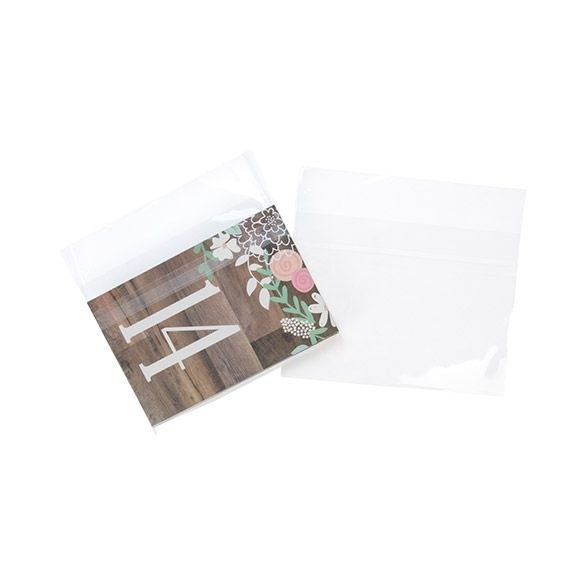 Plastic Zakken 17,3x12,7cm transapart en hersluitbaar (100 stuks) [B56PC]