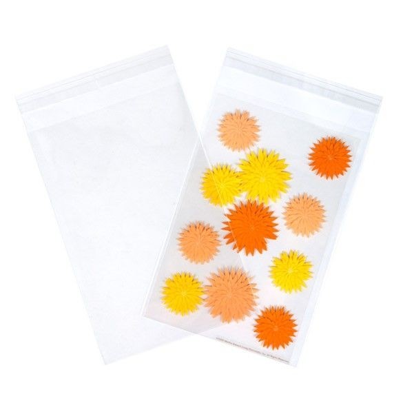 Plastic Zakken 14,5x21,8cm Transparant en Hersluitbaar (100 stuks) [B59S]