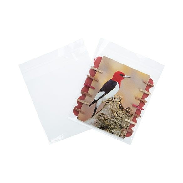 Plastic Zakken 14,5x14,1cm Transparant en Hersluitbaar (100 stuks) [B5X5M]