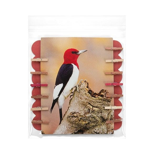 Plastic Bags 14.5x14.1cm Transparent Peel and Seal