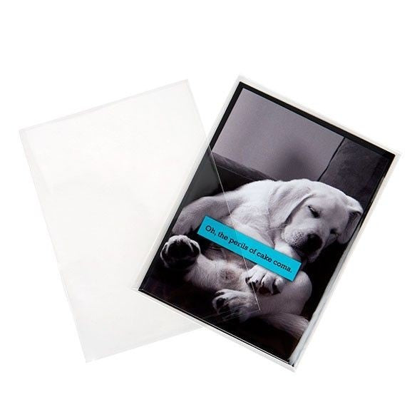 Plastic Zakken 12.5x17cm Transparant (100 stuks) [B65NF]