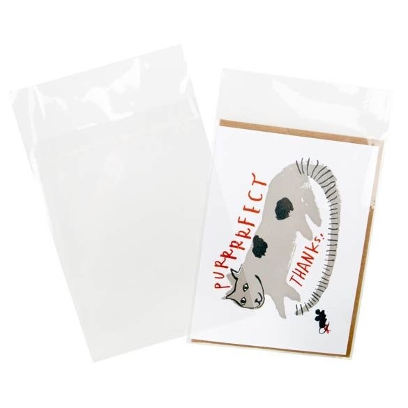 Plastic Zakken 12,6x16,7cm Transparant en Hersluitbaar (100 stuks) [B65PC]