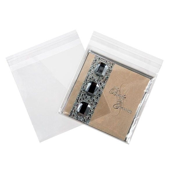 Plastic Zakken 16x16cm Transparant en Hersluitbaar (100 stuks) [B66]