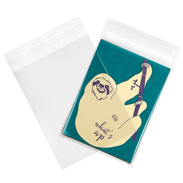 Plastic Zakken 13,8x17,9cm Transparant en Hersluitbaar (100 stuks) [B6B3]