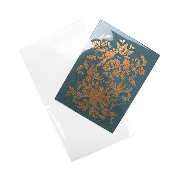 Plastic Zakken 15,7x25,4cm Transparant en Hersluitbaar (100 stuks) [B6X10]