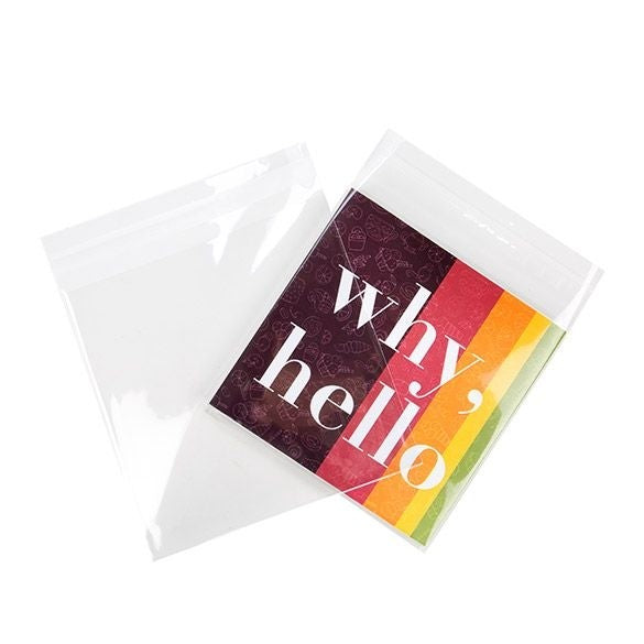 Plastic Zakken 17x16,7cm Transparant en Hersluitbaar (100 stuks) [B6X6M]