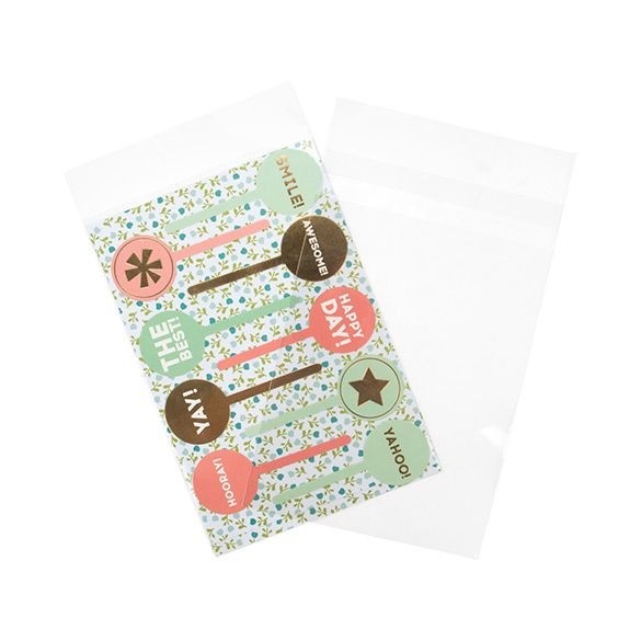 Plastic Zakken 15,3x22,9cm Transparant en Hersluitbaar (100 stuks) [B6X9SPC]