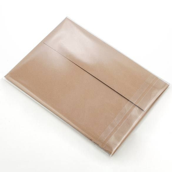 Plastic Zakken 14x18,5cm Transparant en Hersluitbaar (100 stuks) [B75]