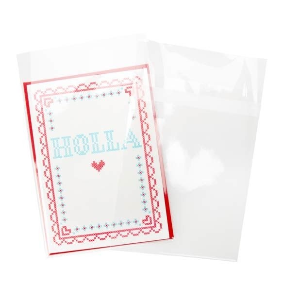 Plastic Zakken 13,8x19,1cm Transparant en Hersluitbaar (100 stuks) [B57PC]