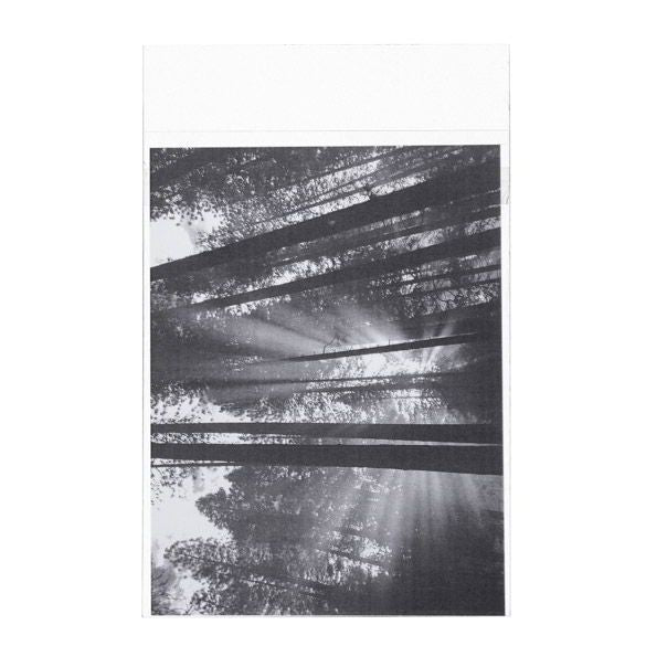 Plastic Zakken 13,8x19,1cm Transparant en Hersluitbaar (100 stuks) [B57PC]