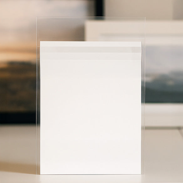 Plastic Zakken 21,5x27cm Transparant en Hersluitbaar (100 stuks) [B810HPC]