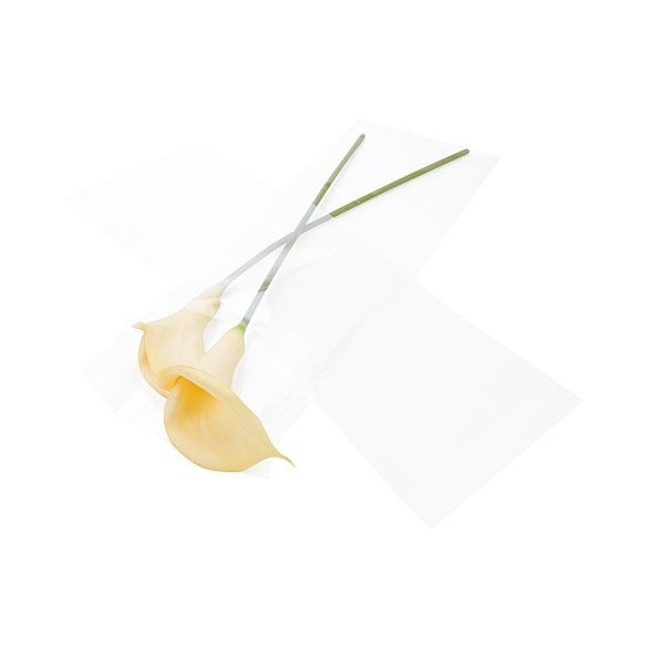 Plastic Zakken 21,9x59,7cm Transparant en Hersluitbaar (100 stuks) [B823]