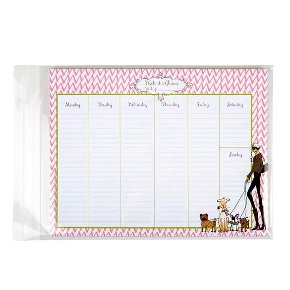 Plastic Zakken 22,9x30,5cm Transparant en Hersluitbaar (100 stuks) [B912]