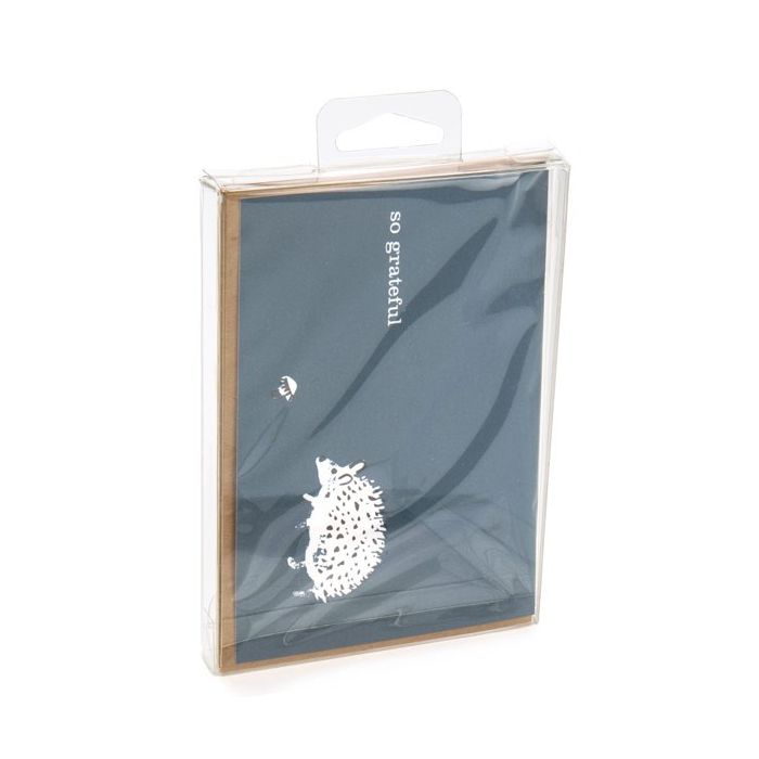 Plastic Doosjes 9,6x1,6x13,2cm Kristalhelder met Hanger in het midden (25 stuks) [CHFB10]