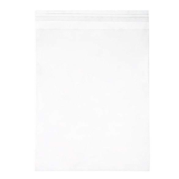 Plastic Zakken 21x25,7cm Transparant en Hersluitbaar (100 stuks) [B108S]