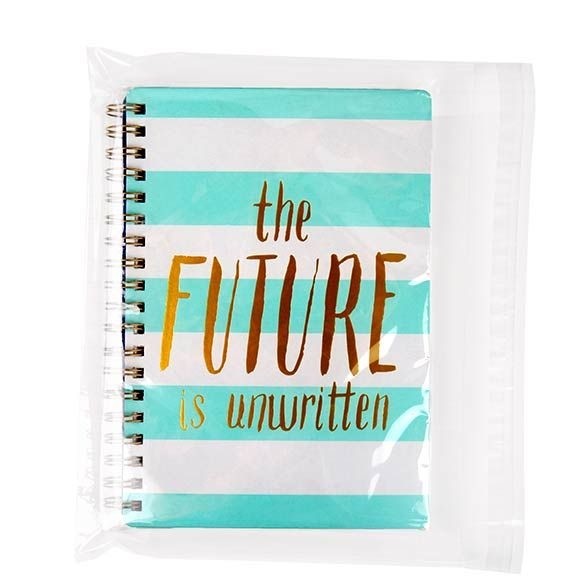 Plastic Bags 30.5x23cm Transparent Peel and Seal