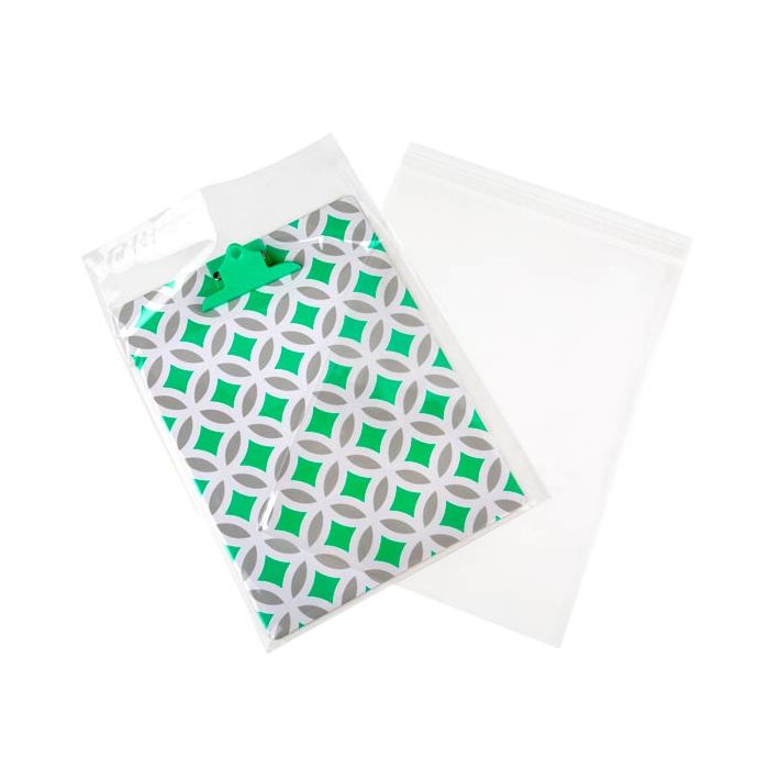 Plastic Zakken 25,4x33cm Transparant en Hersluitbaar (250 stuks) [VL1013]