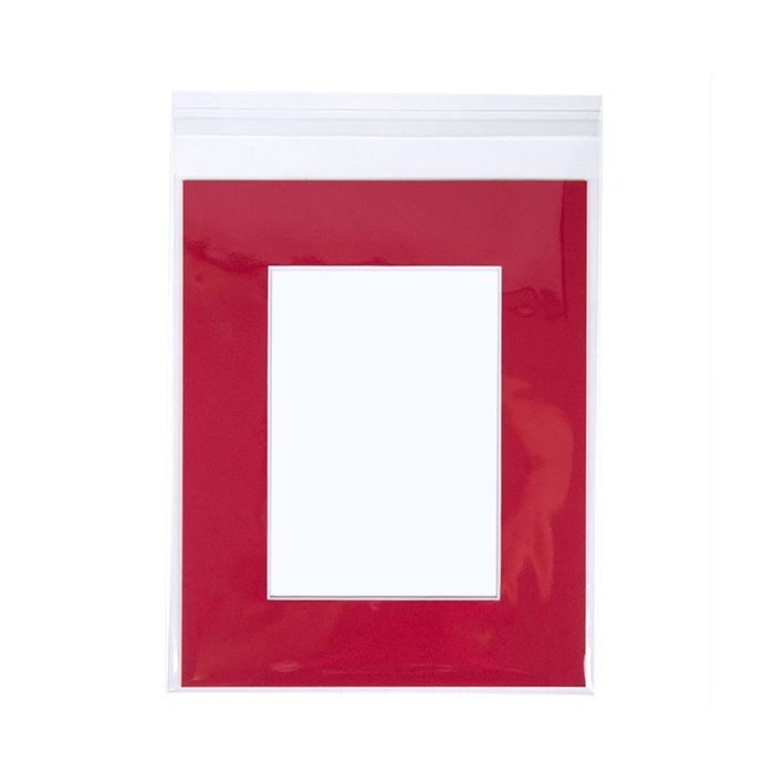 Plastic Zakken 21,4x26cm Transparant en Hersluitbaar (250 stuks) [VL108]