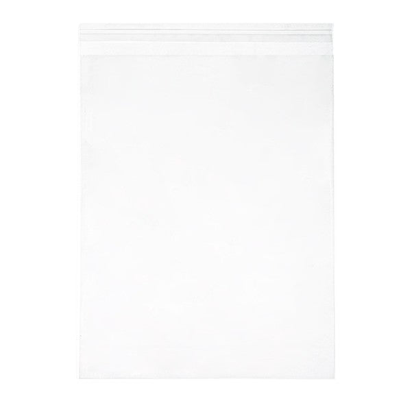 Plastic Zakken 29,1x36,2cm Transparant en Hersluitbaar (250 stuks) [VL11]
