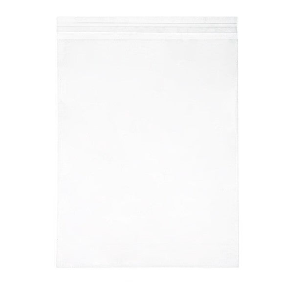 Plastic Zakken 28,6x35,9cm Transparant en Hersluitbaar (250 stuks) [VL11S]