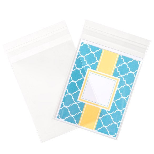 Plastic Zakken 11,7x14,6cm Transparant en Hersluitbaar (250 stuks) [VL54]