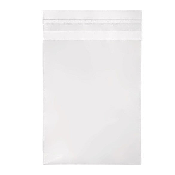 Plastic Zakken 11,7x14,6cm Transparant en Hersluitbaar (250 stuks) [VL54]
