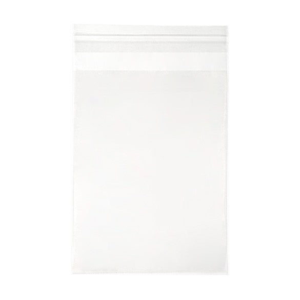 Plastic Zakken 12,5x16,7cm Transparant en Hersluitbaar (250 stuks) [VL65]