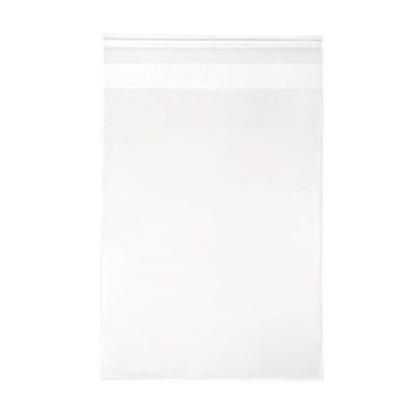 Plastic Zakken 13,8x18,4cm Transparant en Hersluitbaar (250 stuks) [VL75]