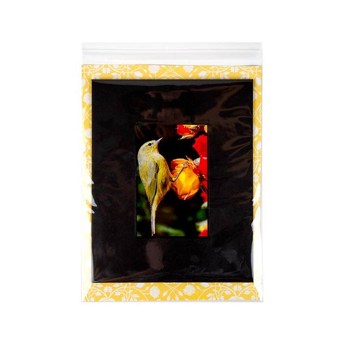 Plastic Zakken 22,7x28,6cm Transparant en Hersluitbaar (250 stuks) [VL811]