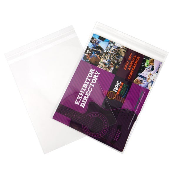Voordelige Plastic Zakken 22.2x28.1cm Transparant en Hersluitbaar (250 st) [VL811S]