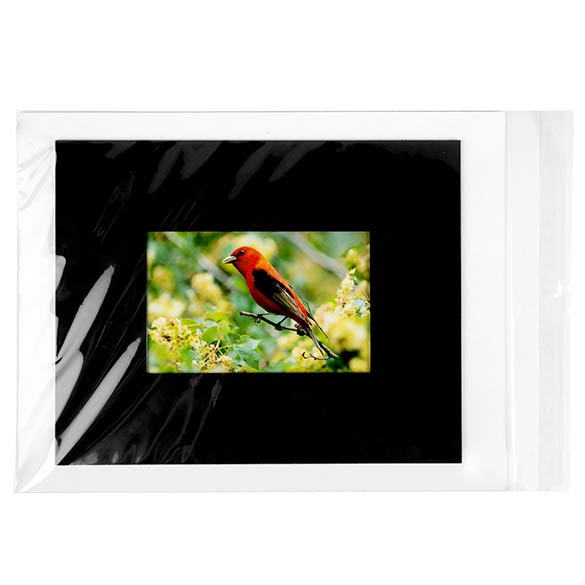 Plastic Zakken 24x31,9cm Transparant en Hersluitbaar (250 stuks) [VL9]