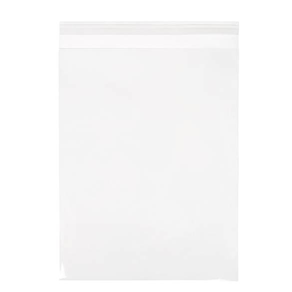 Plastic Zakken 24x31,9cm Transparant en Hersluitbaar (250 stuks) [VL9]